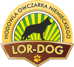 logo_lordog